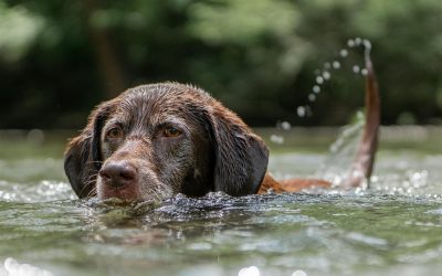 September Newsletter