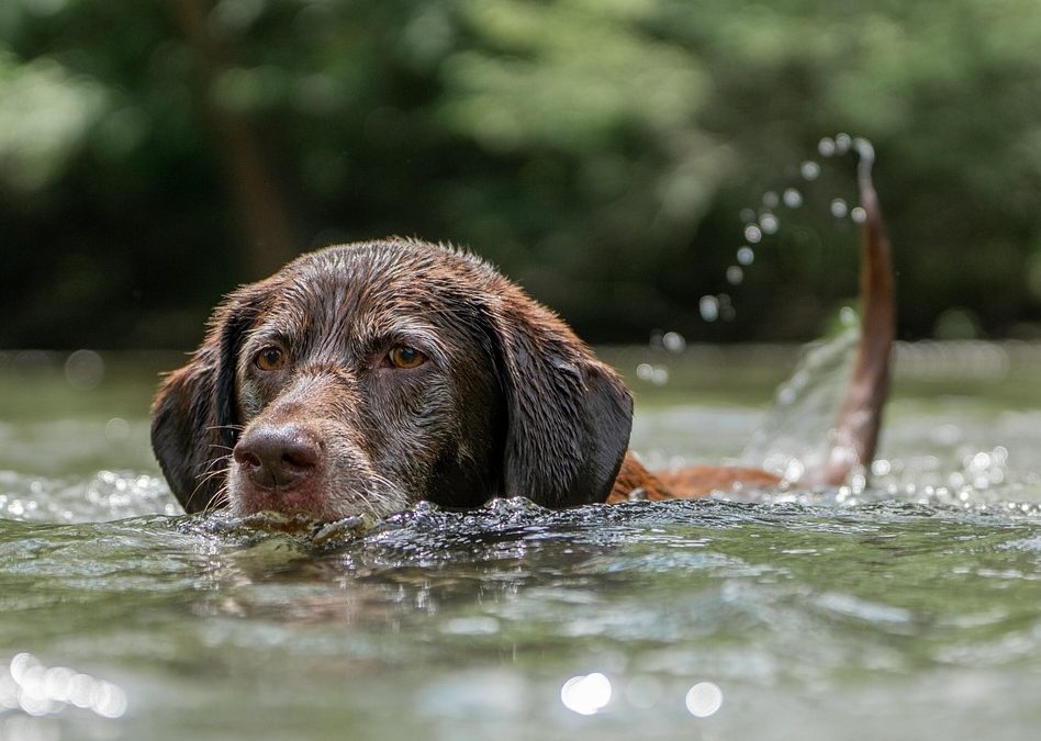 September Newsletter