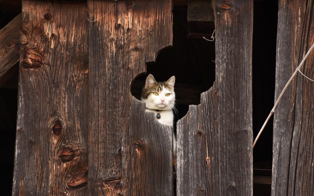 September Newsletter