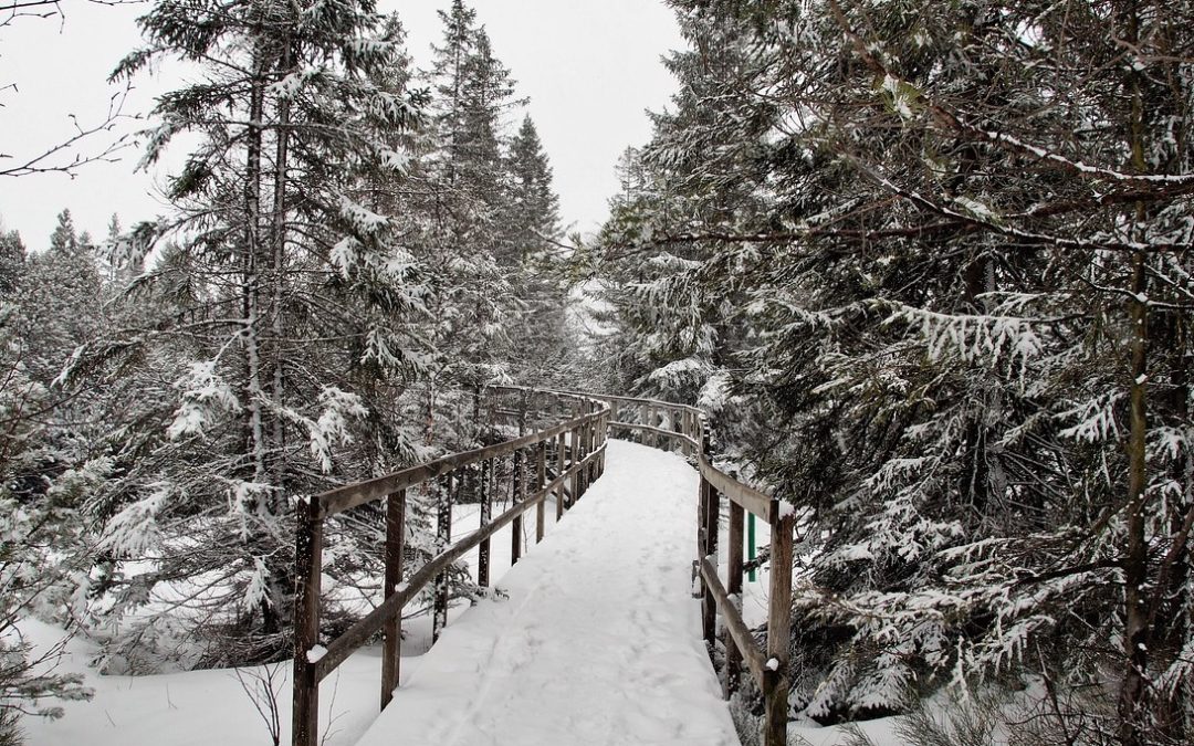 Sidewalk De-icers & Chemical Safety Tips