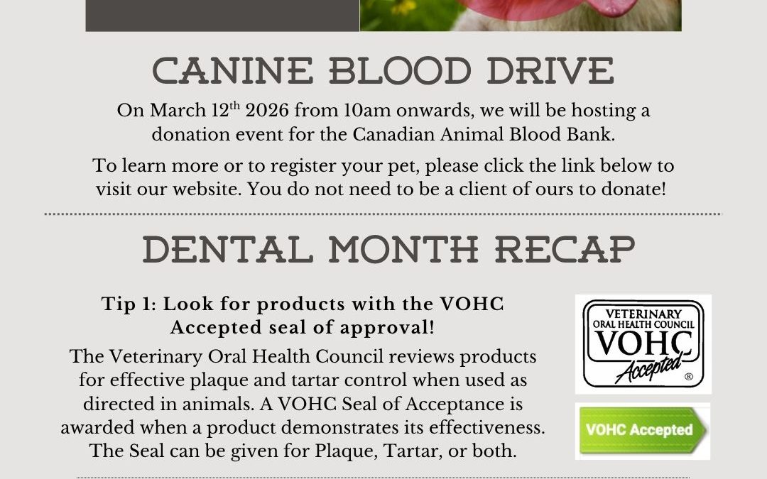 March Newsletter