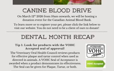 March Newsletter