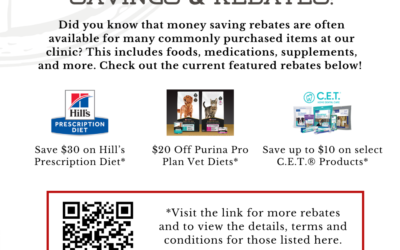 July Newsletter