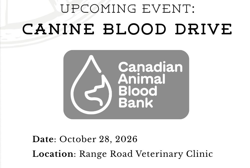September Newsletter