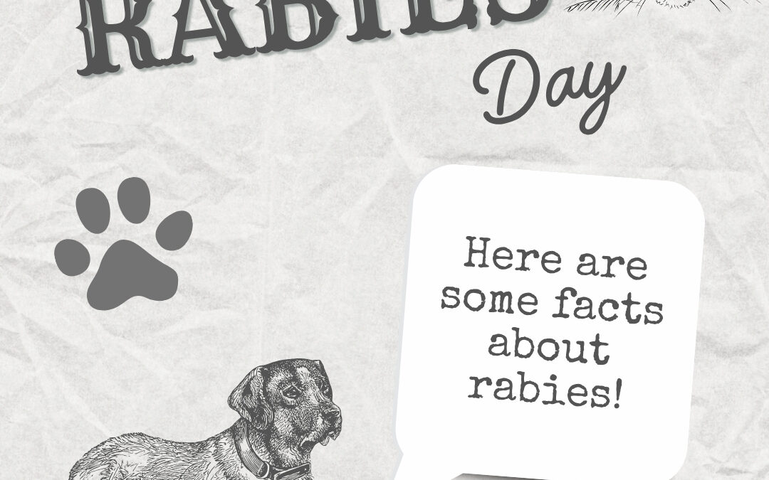 World Rabies Day