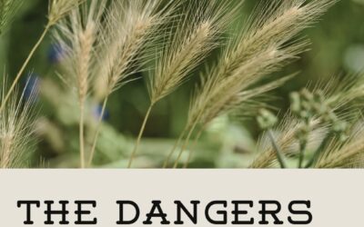 The Dangers of Foxtails