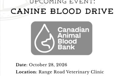 September Newsletter