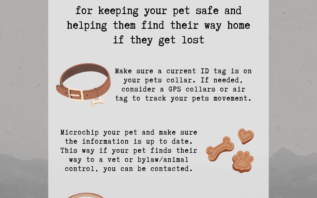 Lost Pet Prevention