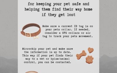 Lost Pet Prevention