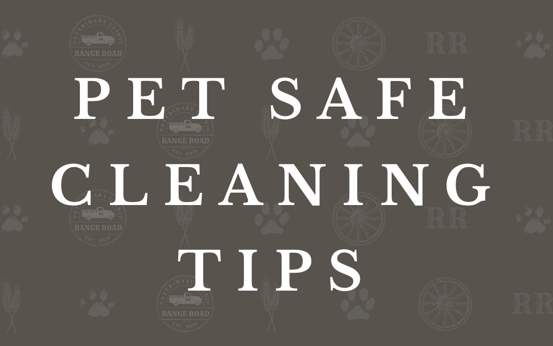 Pet Poison Prevention – Safe Cleaning Tips