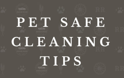 Pet Poison Prevention – Safe Cleaning Tips