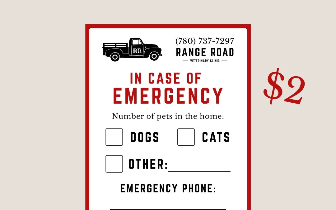Pet Fire Safety Tips