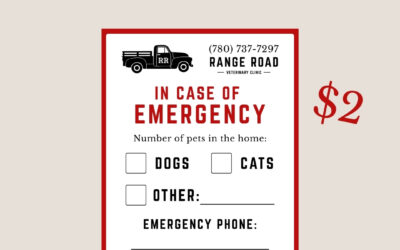 Pet Fire Safety Tips
